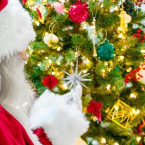 Santa Comes to Town December 1
