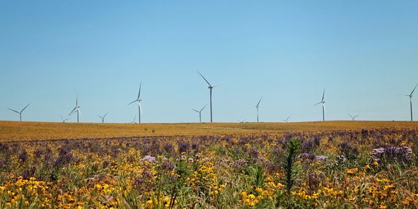 Quad-Cities Powered With Renewable Energy From Iowa And Illinois Businesses