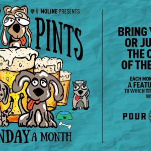 Have Fun Doggie Style With Pups And Pints At Illinois' Pour Bros.
