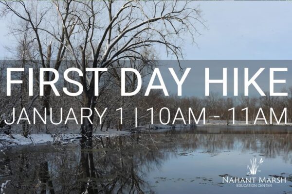 Nahant Marsh’s First Day Hike January 1