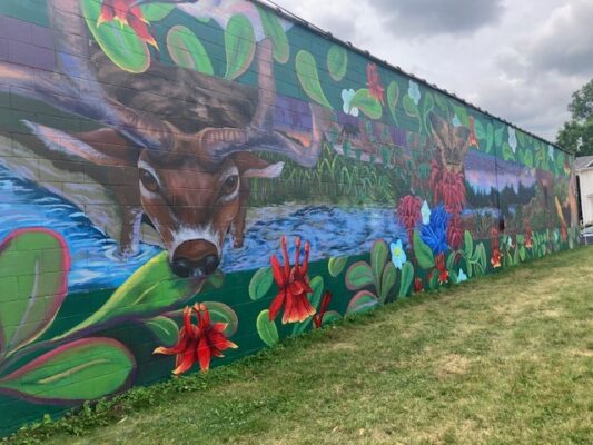 Quad Cities Community Invited to Celebrate 25 Years of Metro Arts on Tuesday at Figge