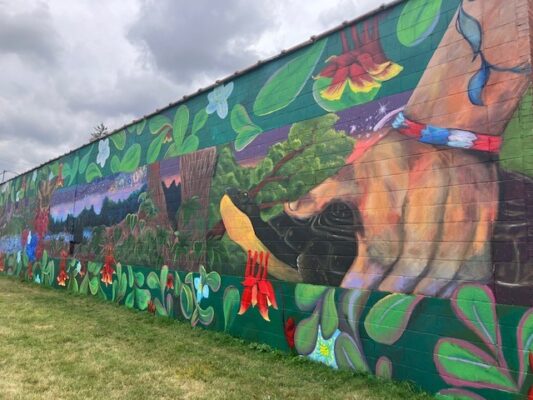 Quad Cities Community Invited to Celebrate 25 Years of Metro Arts on Tuesday at Figge