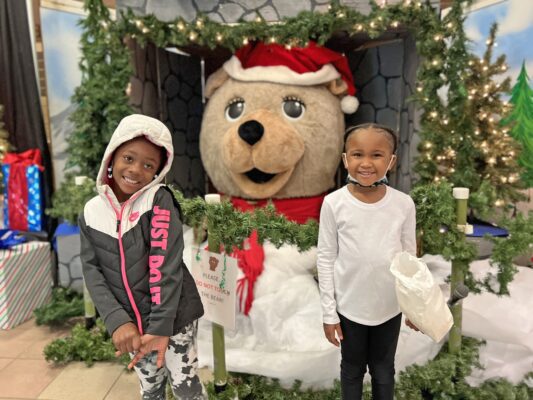 40th Festival of Trees To Shine in Davenport as Major Quad City Arts Fundraiser