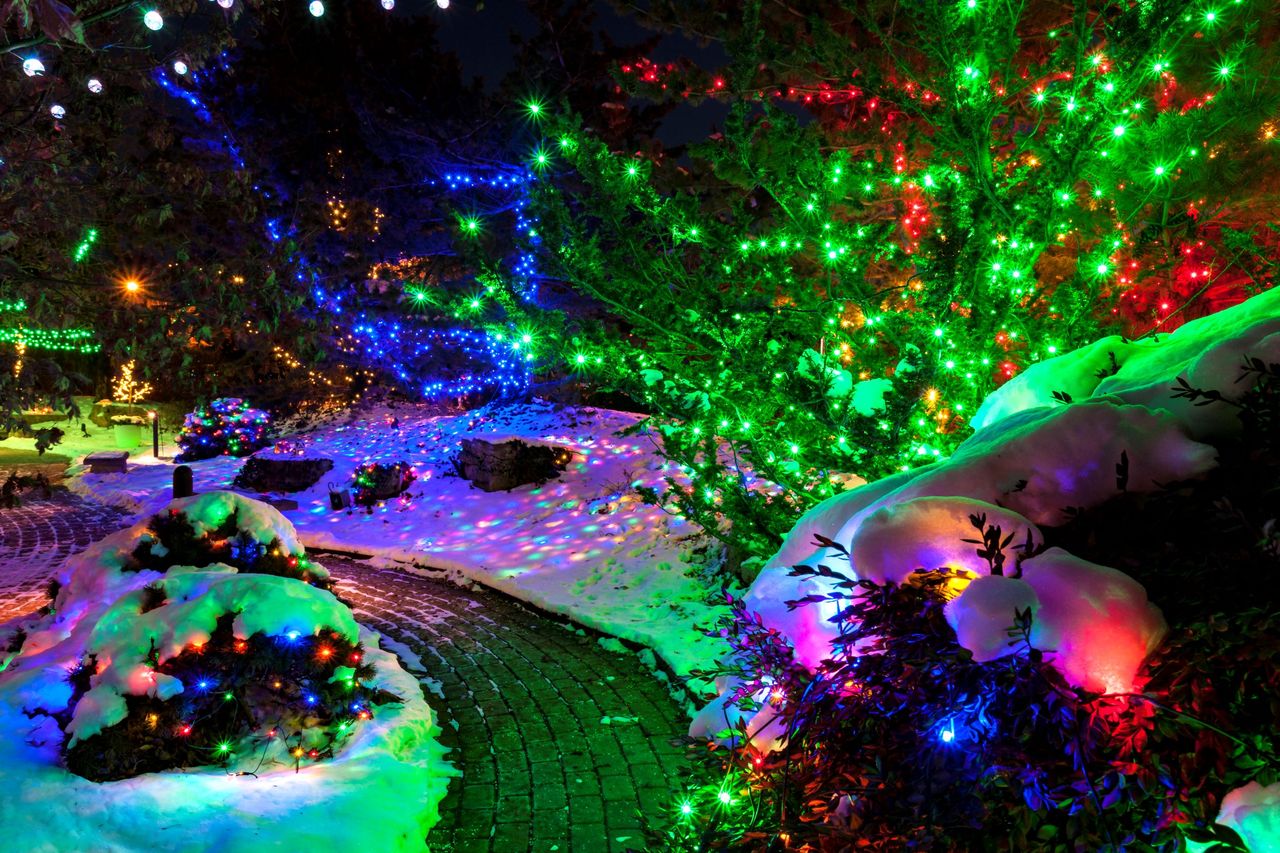 M. Marten, Lights in the Pond　公園　風景画 Quad City Botanical Center, Rock Island, Opens “Winter Lights